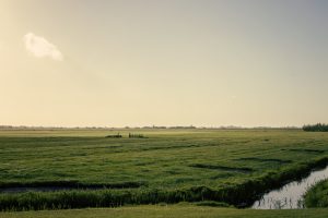 Weite Fläche Friesland